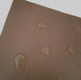 Papier biodegradowany, tłuszczoszczelny, wodoodporny Papier biodegradowany, tłuszczoszczelny, wodoodporny